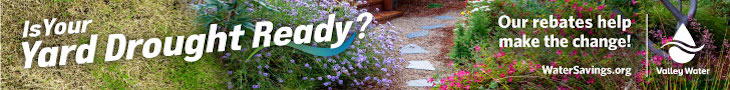 Valley Water Landscape Rebate Program